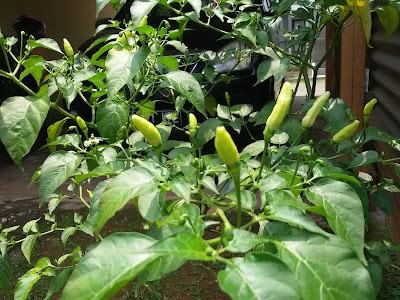 Photos of Abimanyu Gallery