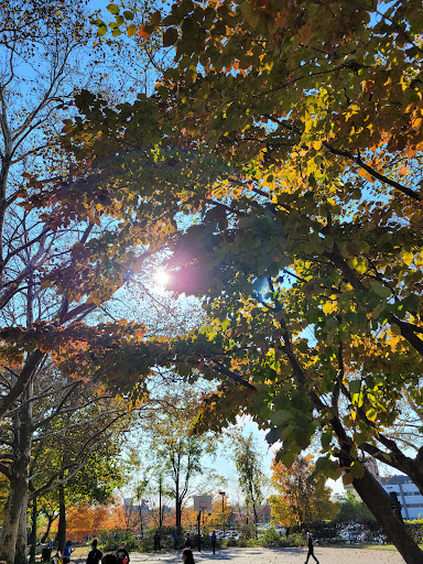 Monsignor Lipinski Park - Thumbnail
