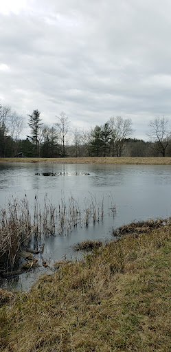 Sand Run Picnic Area