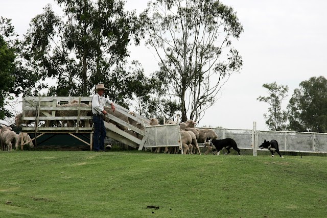 Lone Pine Koala Sanctuary