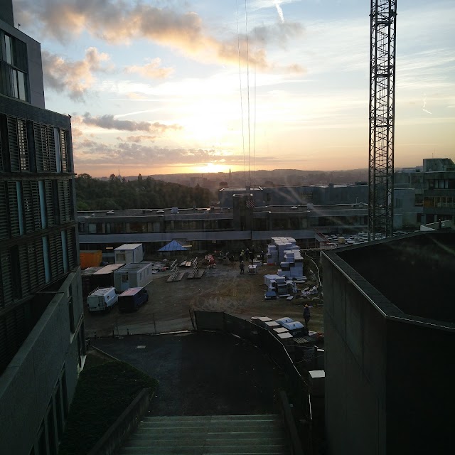 KU Leuven, Faculty of Medicine