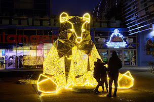 Photo n°9 de Bruno Dolis à Saint-Jean-d'Illac (Designer d'intérieur)