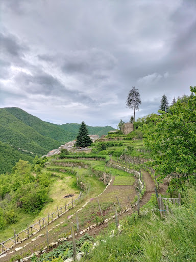 Museo Della Lavanda - Thumbnail