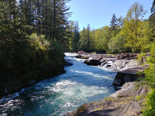 Cowichan River Provincial Park - Thumbnail