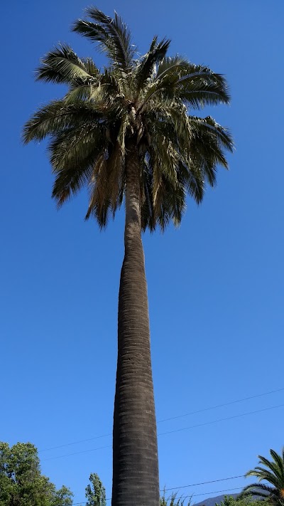 Photos of Ferreteria Las Palmeras