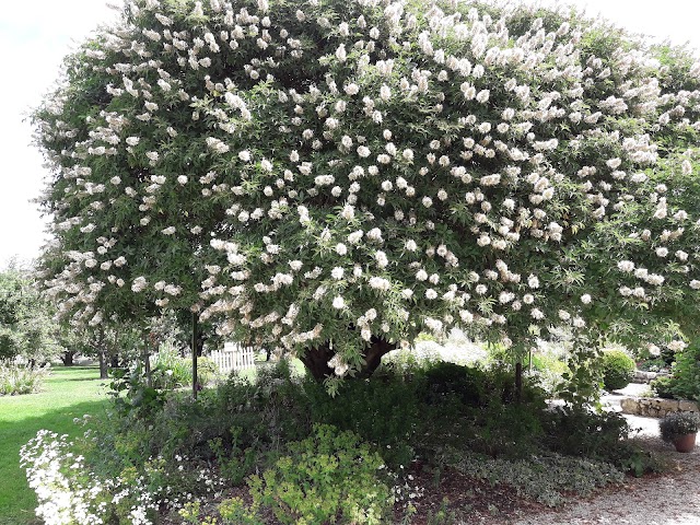 Les Jardins de Coursiana