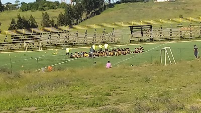 stadium