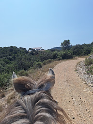 Photo n°10 de Equit'Accompagne - Centre Equestre de Lirac à Lirac (Club de sport)