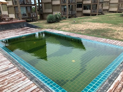 Photos of Laya Safari