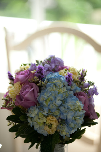 Ruby Vine Design Co. - Visual