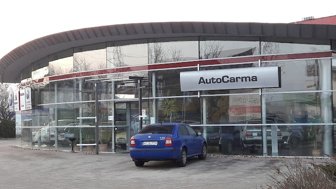 Autocarma Service Ltd., Author: Erika Urbánné Dajka