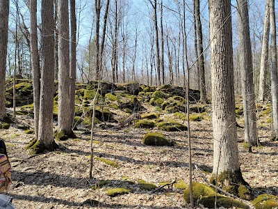 Clark Reservation State Park