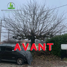 Photo n°8 de Becker Espace Vert à Toulouse (Service d'entretien de pelouse)