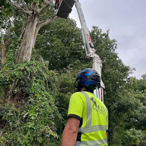Kiwi Tree & Hedge Services
