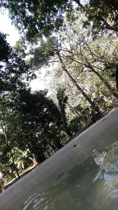Photos of Glenda's Paradise