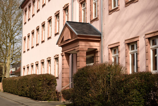 Frühlingsschule - Thumbnail