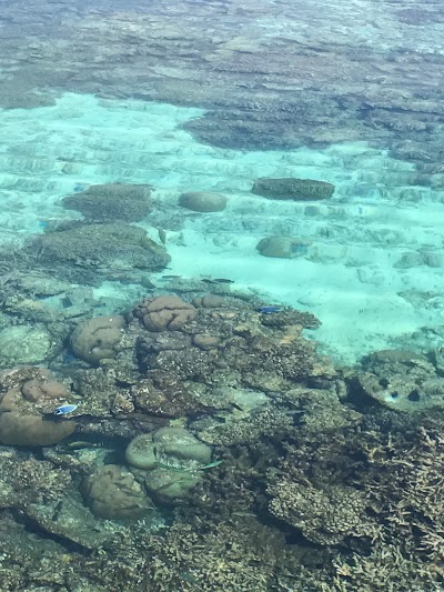 Photos of Bodufushi