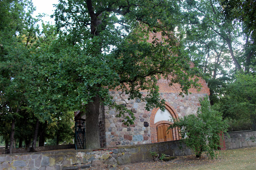 Dorfkirche Schönow - Thumbnail