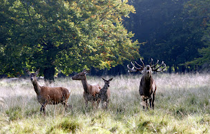 Photo n°12 de Maison de la Chasse et de la Nature, Fédération Départementale des Chasseurs de la Marne à Fagnières (Club de chasse)