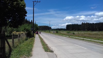 Photos of Surlat