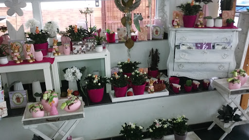 Zängry Blumenhaus