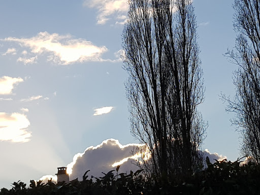 Photo de Les Papillons Blancs de l'Essonne à Chevannes (91750)