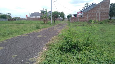stadium
