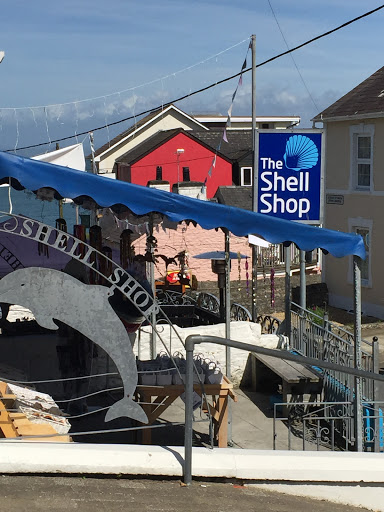 The Shell Shop - Visual