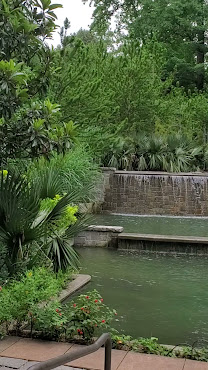 Atlanta Botanical Garden by null