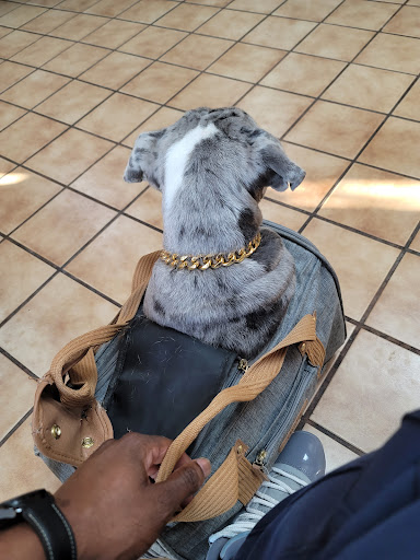 Aldine Mail Route Animal Hospital - Thumbnail
