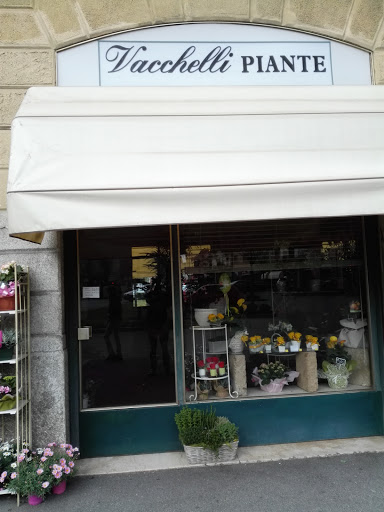 Vacchelli Piante - Visual