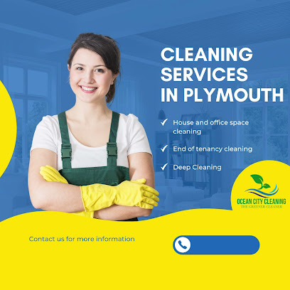 Ocean City Cleaning