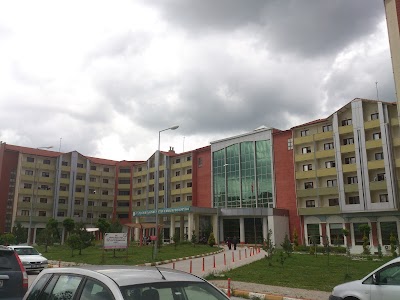 Dumlupınar University Faculty of Arts