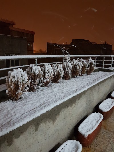 Photos of پارک نور