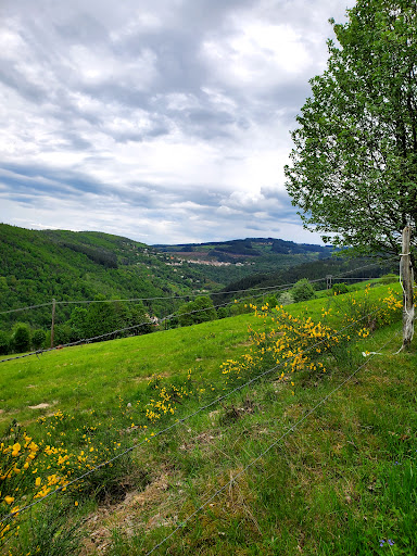 Bench with a view - Thumbnail