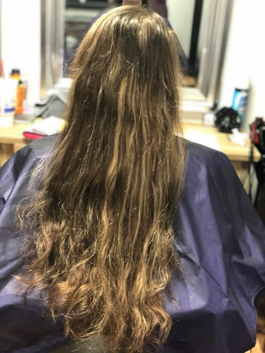 Split Endings Salon - Visual