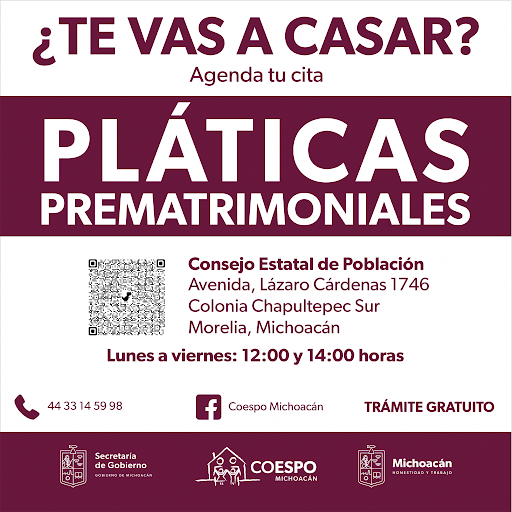 State Population Council of Michoacan - Thumbnail