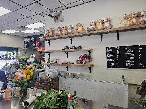 Dottie's Flowers & Plants Gallery - United States