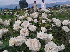 Rose Garden mansehra