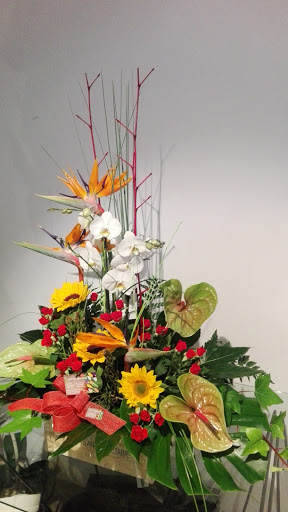 QARTE floristas Gallery - Spain
