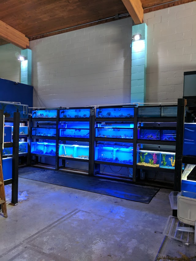 The Ultimate Aquarium