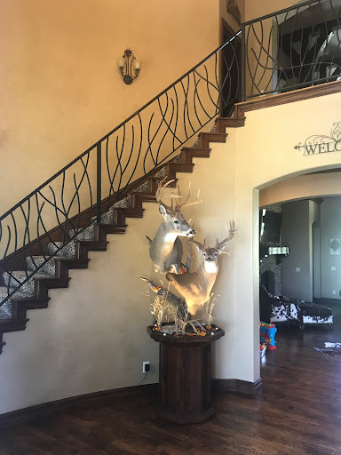 Vanmar Taxidermy & Outdoors