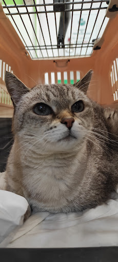 Ambulatorio Veterinario MIDA