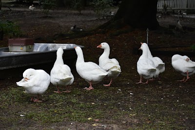 Louisiana Purchase Gardens & Zoo