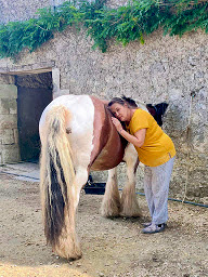 Photo n°17 de écurie narolles à Le Fouilloux (Entraîneur de chevaux)