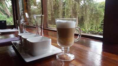 Photos of Orchid Caf&eacute; & Restaurant