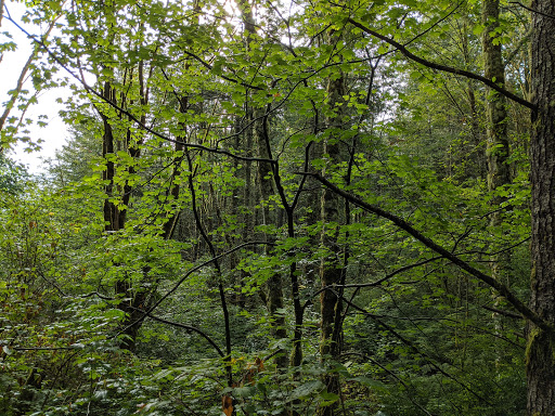 Woody Creek Park - Thumbnail