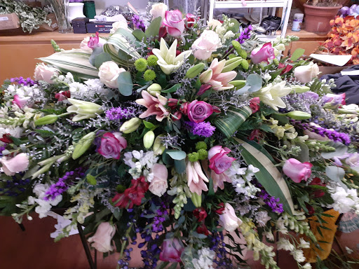 Bunn Flowers - Thumbnail