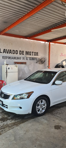 Auto Detallado Performance - Visual