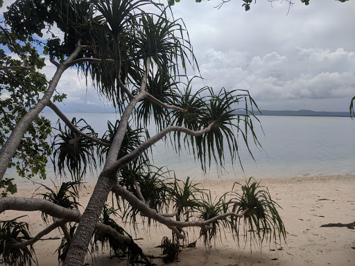 Snapper Island National Park - Thumbnail